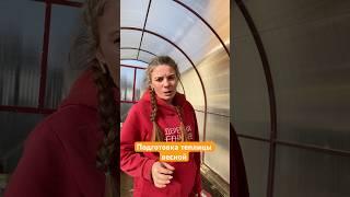 Как улучшить землю в грядках и теплице? Почвоулучшитель Доктор Земли арт вб: 264276792