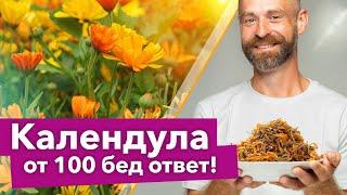 СЕЮ КАЛЕНДУЛУ ВЕЗДЕ И БЕД НЕ ЗНАЮ! Полезные свойства календулы для здоровья, сада и огорода