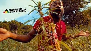 Lutan Fyah - Sweet Trichomes [Official Video 2016]