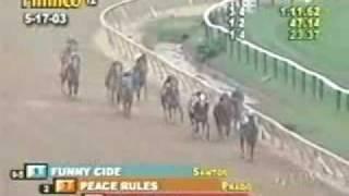 Funny Cide - 2003 Preakness Stakes