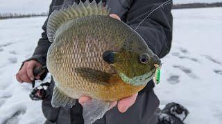 Pre Storm Front Bluegills in Ottertail County In-Depth Outdoors TV S15 E10