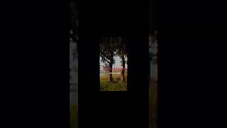 Teya Dora Dzanum  song (english lyrics) #song