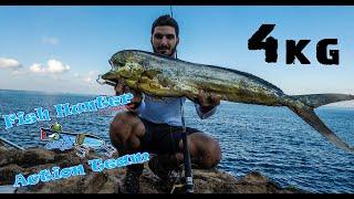 Fish Hunter Spinning Team Dorado - Mahi Mahi On Top Water Lure !!