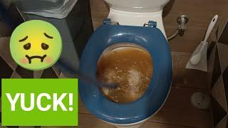 Blocked Drain 14 | DISGUSTING Blocked Toilet -  How to UNCLOG a Toilet