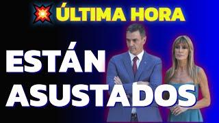 BEGOÑA GÓMEZ Y PEDRO SÁNCHEZ ESTÁN ACORRALADOS El Tribuno de Rafa Fernández Actualidad Psoe