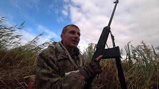 Моя лучшая охота на крякву 2021  Утка с зерновых полей. Duck shooting from Saiga 12.Mallard hunting.