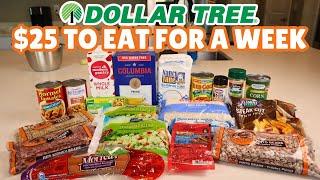 Eating for a Week on $25 from Dollar Tree | Episode 1: Grocery Haul, Meal Prep, & Day 1 Meals!