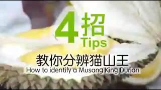 4 tips How to identify a Musang King Durian