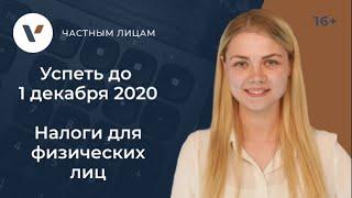 Успеть до 1 декабря 2020 года! Какие налоги должны заплатить физлица