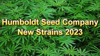 Humboldt Seed Company New Strains 2023