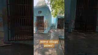 mitrol village Palwal #reels #viralvideo #mitrolvillage #villagelife #vlog