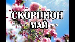 Скорпион. Гороскоп на май 2019 года на картах Таро Скрытой Реальности.