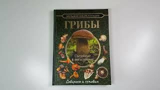 Листаем книгу «Большая энциклопедия. Грибы. Съедобные и несъедобные. Собираем и готовим»