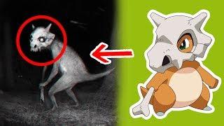 5 Pokémons Captados en Cámara en la Vida Real