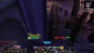 Dire Maul Tribute: Super safe Hunter Solo run (12min)