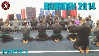 BUJINDEN 2014. #ninjatraining #bujinkan #taikai