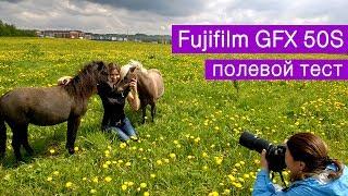 Светлана Петрова. Среднеформатная Fujifilm GFX 50S, полевые испытания на съемках лошадей