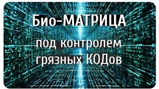 Эксперименты безумия: Путь к бесконечному клониRованию