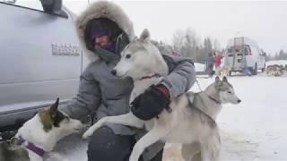 Sled dog Musher Documentary