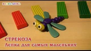 СТРЕКОЗА - Лепим из пластилина | Видео Лепка