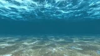 Relaxing Underwater Ocean Video with Sounds