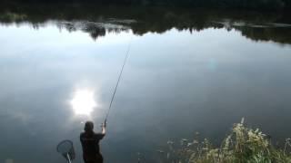 Рыбалка на реке ДЕСНА( СУПОНЕВО) ! fishing