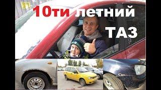 10ти летняя калина - ЧТО С НЕЙ СТАЛО? Стоит ли брать?