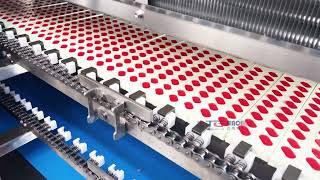 Center-filling Gummy Candy Production Line