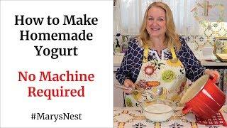 How to Make Homemade Yogurt - No Machine Required