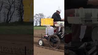 YANMAR Onion Transplanter PH40RA Series #short #agrimachinery