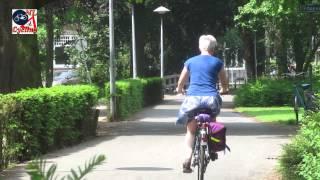 Summer cycling in the Netherlands [267]