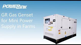 PowerLink GR gas genset for mini power supply in farms