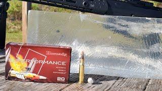 Hornady SST 150gr 100 yard gel test. It made the GEL GET UP AND DANCE!