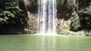 Milla Milla Falls, Tablelands, Australia | Travel Martinez