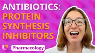 Antibiotics: Protein Synthesis Inhibitors - Immune System | @LevelUpRN