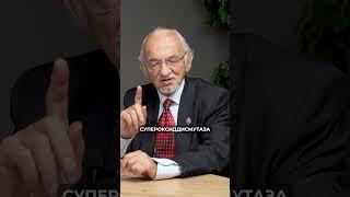 Работающие мышцы — природная антиоксидантная система