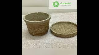 Biodegradable Takeaway Food Container #ecokadai #circulareconomy #ecofriendly