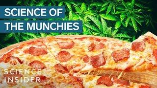 Why Marijuana Gives You The Munchies