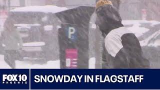 NAU students enjoy a snow day in Flagstaff | FOX 10 Phoenix