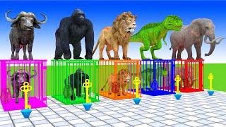 Cow Elephant Lion Dinosaur Gorilla Guess The Right Key ESCAPE ROOM CHALLENGE Animals Cage Game