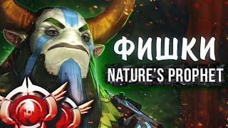 ВСЕ ФИШКИ ЗА ФУРИОНА | ГАЙД NATURE'S PROPHET DOTA 2