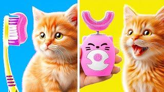 How to Keep a Kitten Clean and Happy ‍️ | Smart Gadgets and Tips for Pet Owners