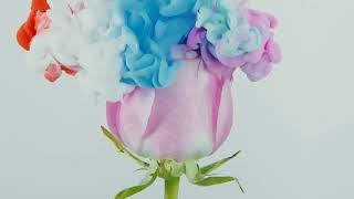 The Mantra of Feminine Energies and Love 