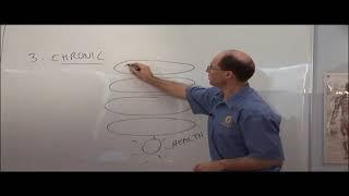 Paul Turner - Models for Understanding Chronic Health Issues