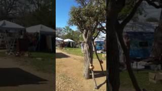 Walking, Talking, Tree at Llano Earth Art Festival