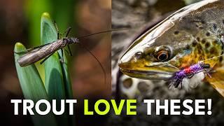 Fly Fishing’s Most Underrated Hatch? | Ep. 130
