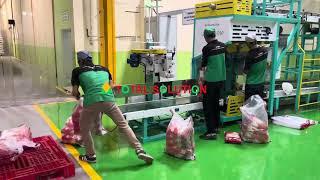 Rotary Packing Machine