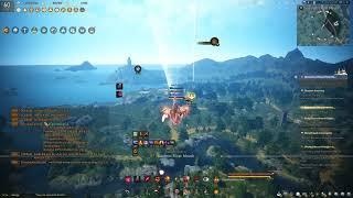 Insane Lahn Flying - 5896 Stamina - Black Desert Online