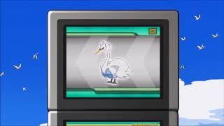Swanna Pokédex Entry - Butterfree And Me