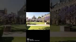 A sneak peak into life at Adelaide University 